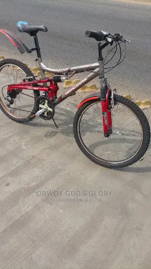 24 Mountain Spring Bike