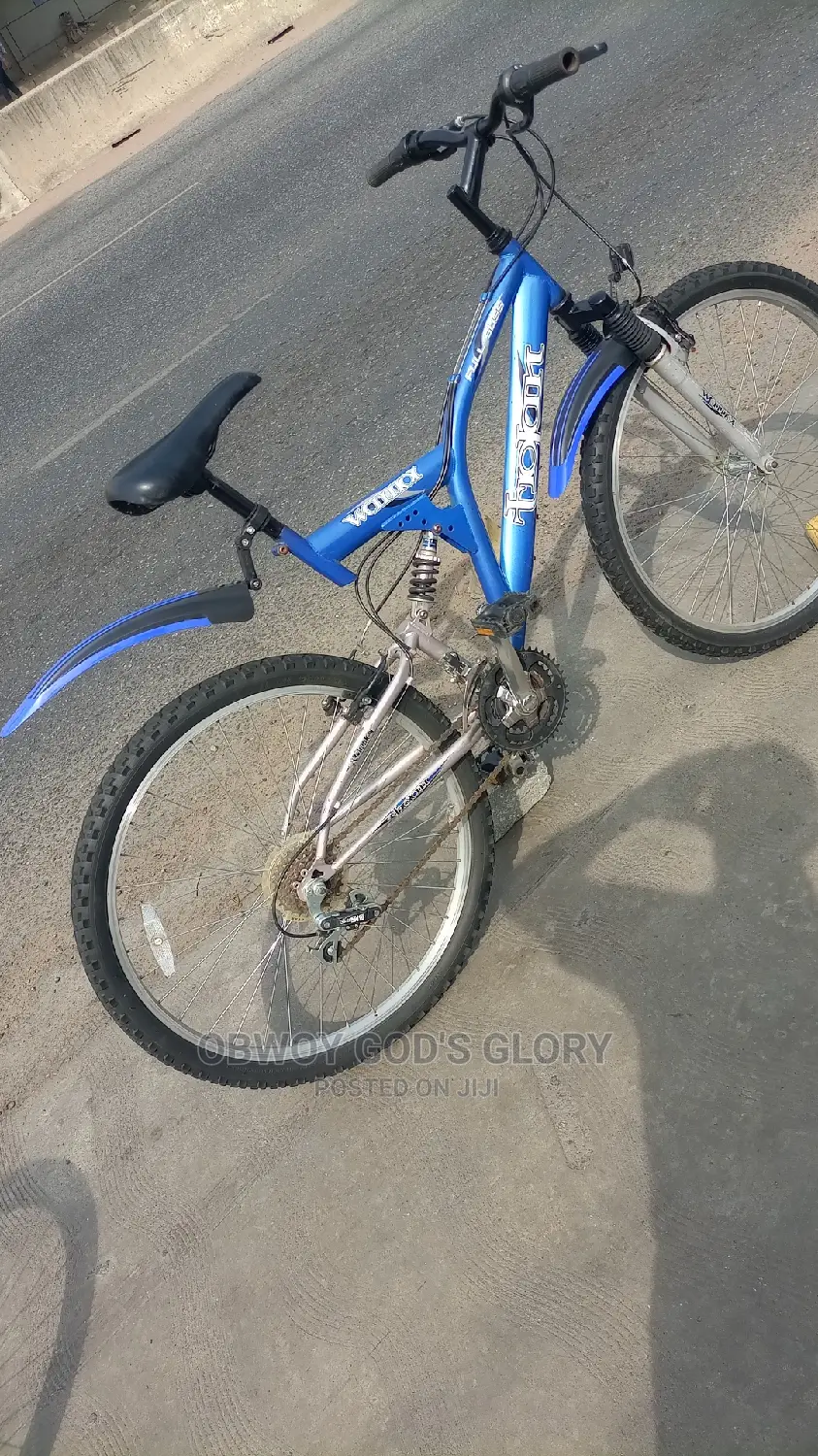 Blue Sports Spring Bike