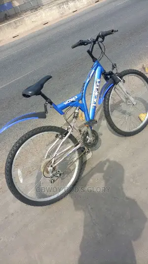 Blue Sports Spring Bike