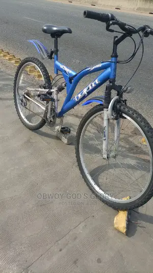 Blue Sports Spring Bike