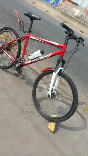 Power 3 Mountain Bike