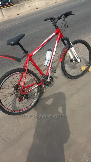 Power 3 Mountain Bike
