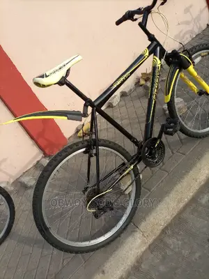 Power 5 Mountain Bike