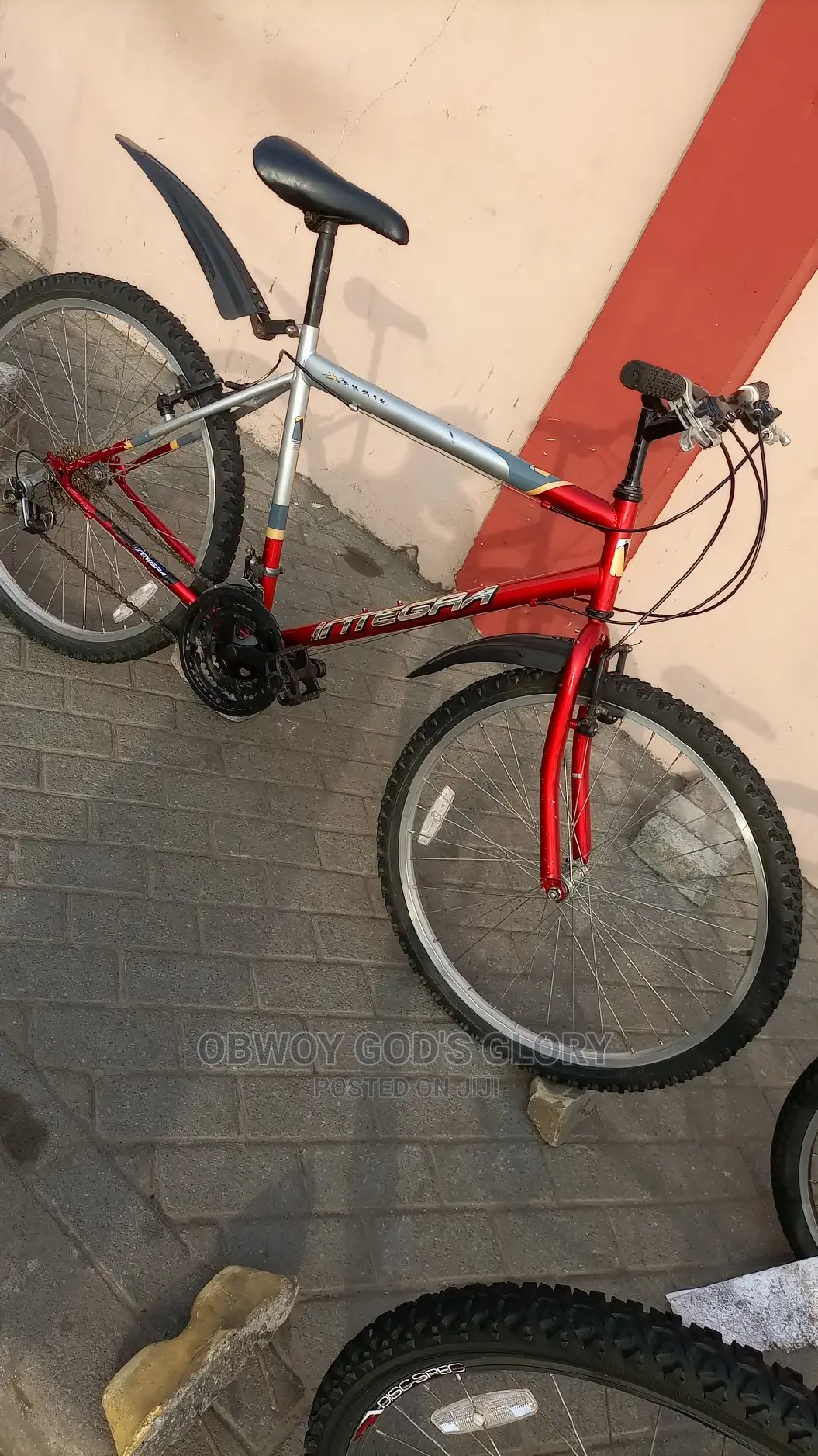 Mountain Red Bike