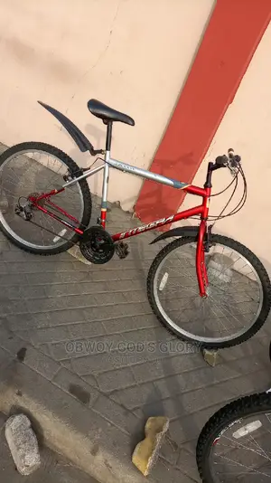 Mountain Red Bike
