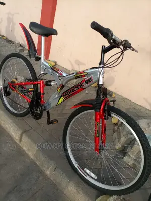 Power Spring Bike