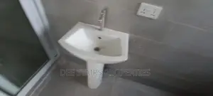 Cleaning of House and Washing Cloth in Your House Service