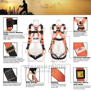 Body Harness