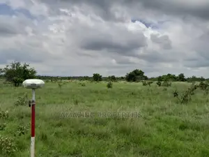 31 Acres of Land Along Borteyman Road