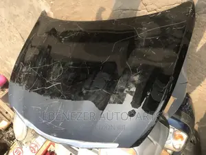 Sonata 2012 Bonnet