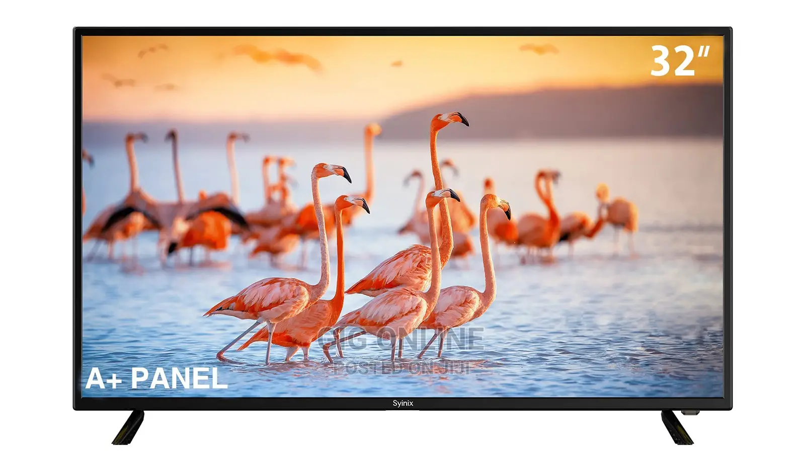 Synix Icast Tv