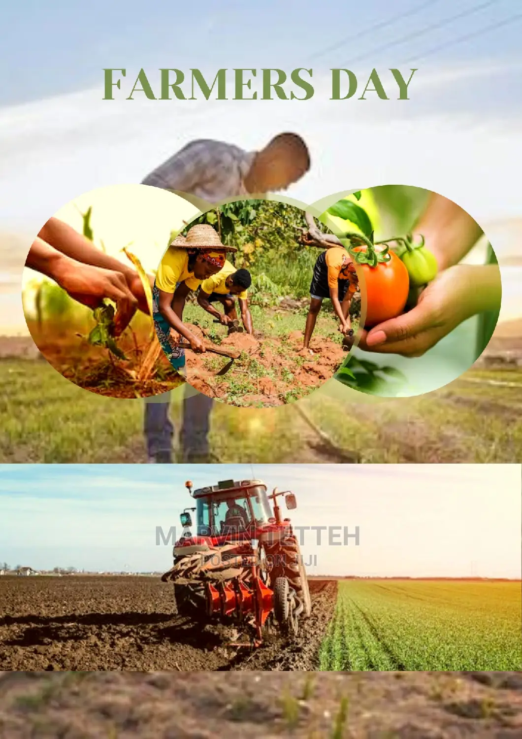 Graphic Designing, Letter Heads, Flyers, Advertising Videos
