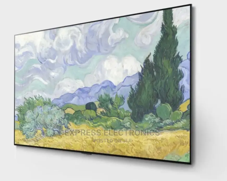 OLED UHD LG OLED77G1PVA Triluminos Display Tv +Dstv
