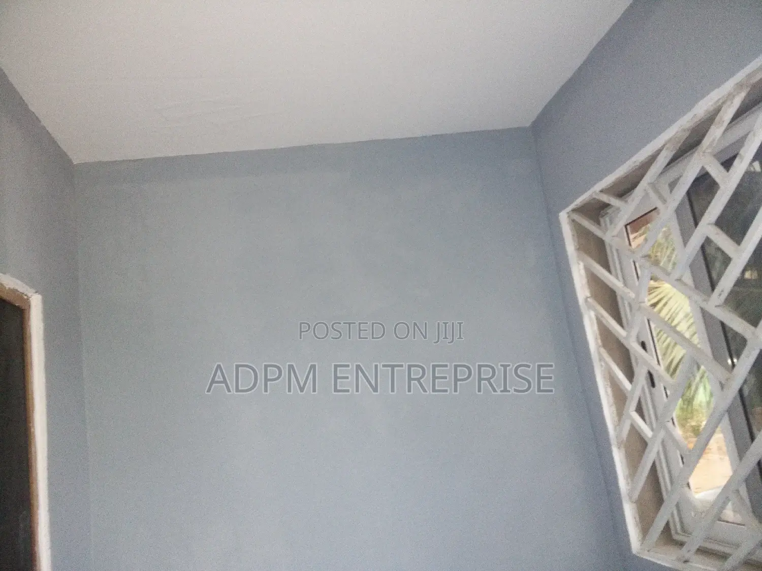 Professional Painter