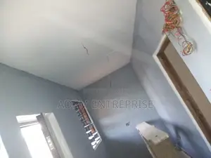 Professional Painter