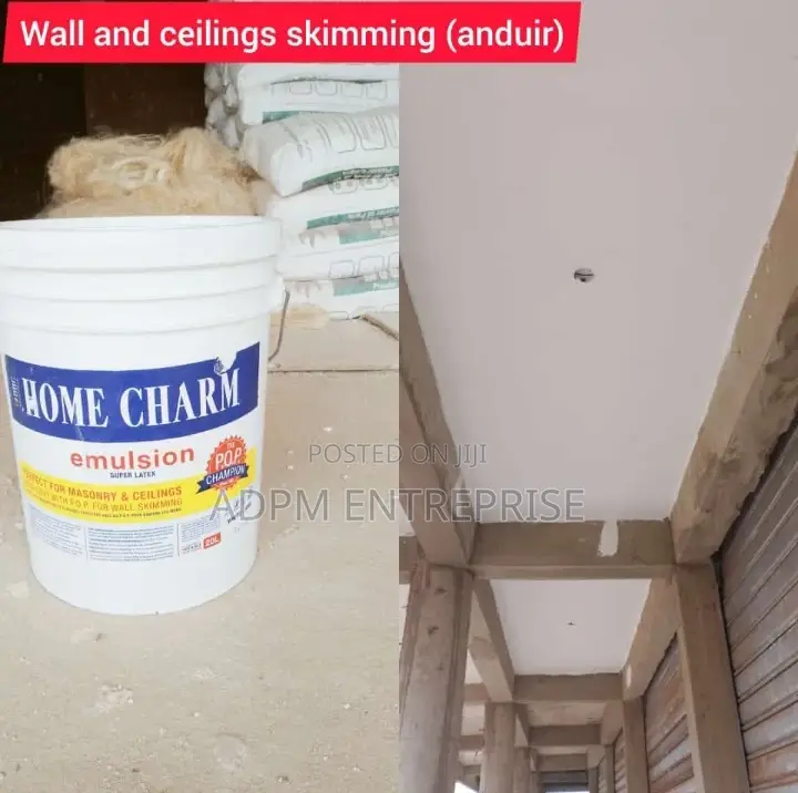 Professional Painter