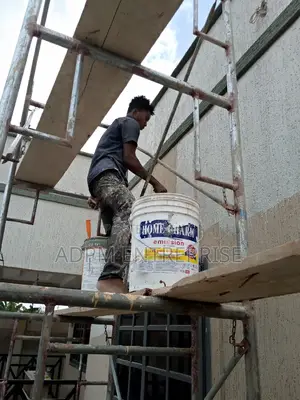Professional Painter