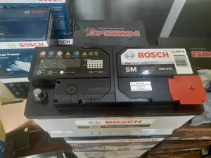 19 Plates Bosch SM Mega Silver Power