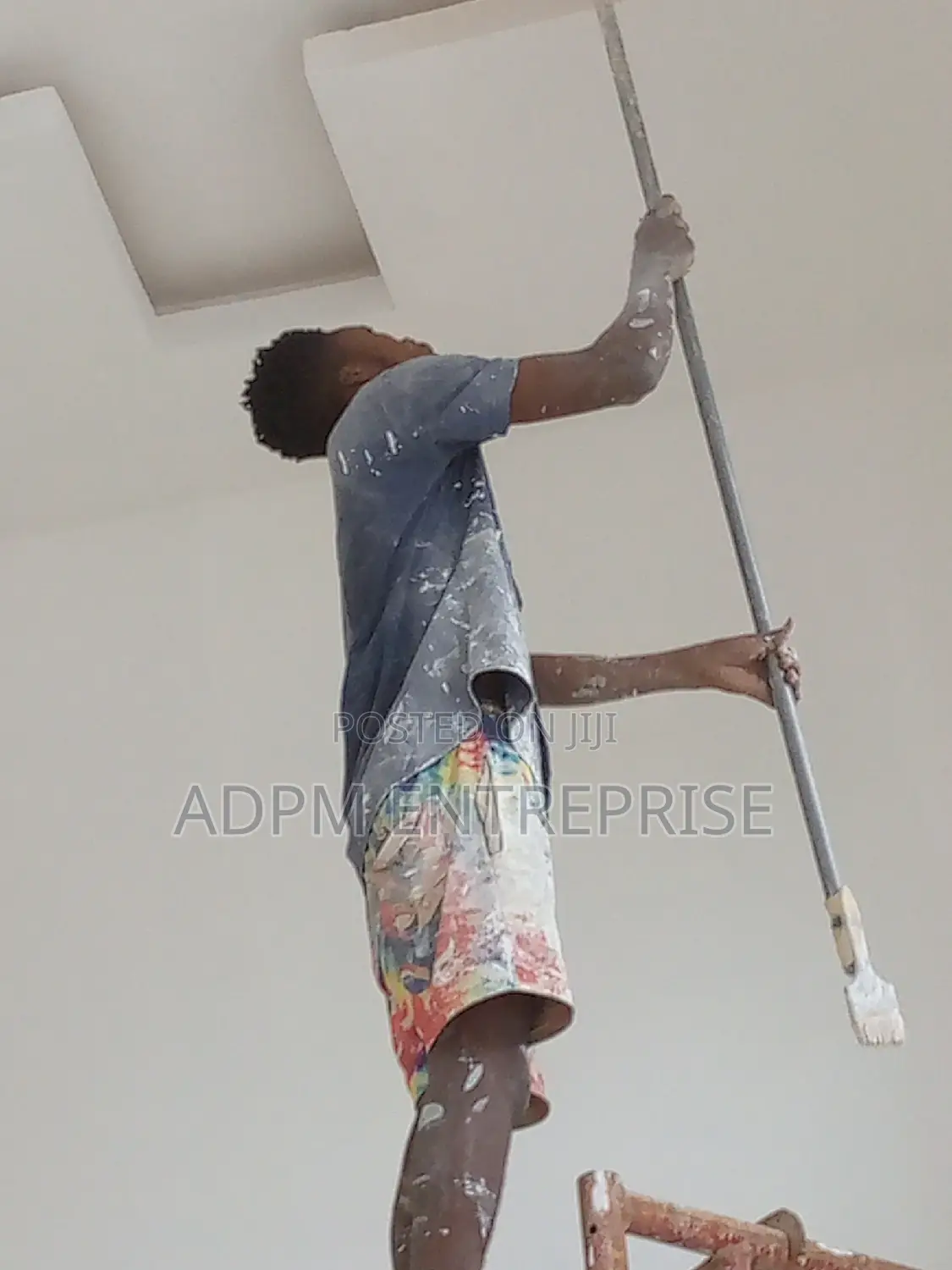 Professional Painter