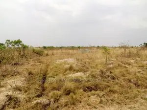10 Plots at Appolonia