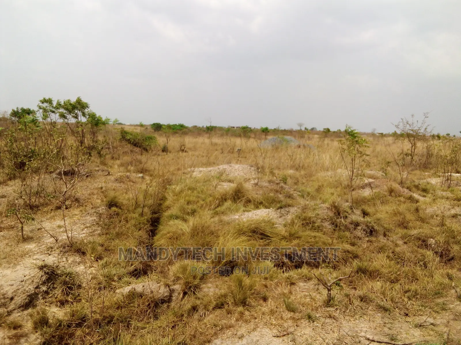 10 Plots at Appolonia