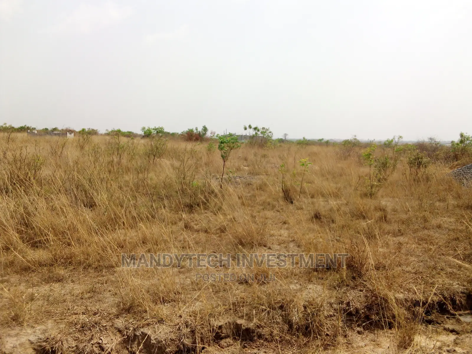 10 Plots at Appolonia
