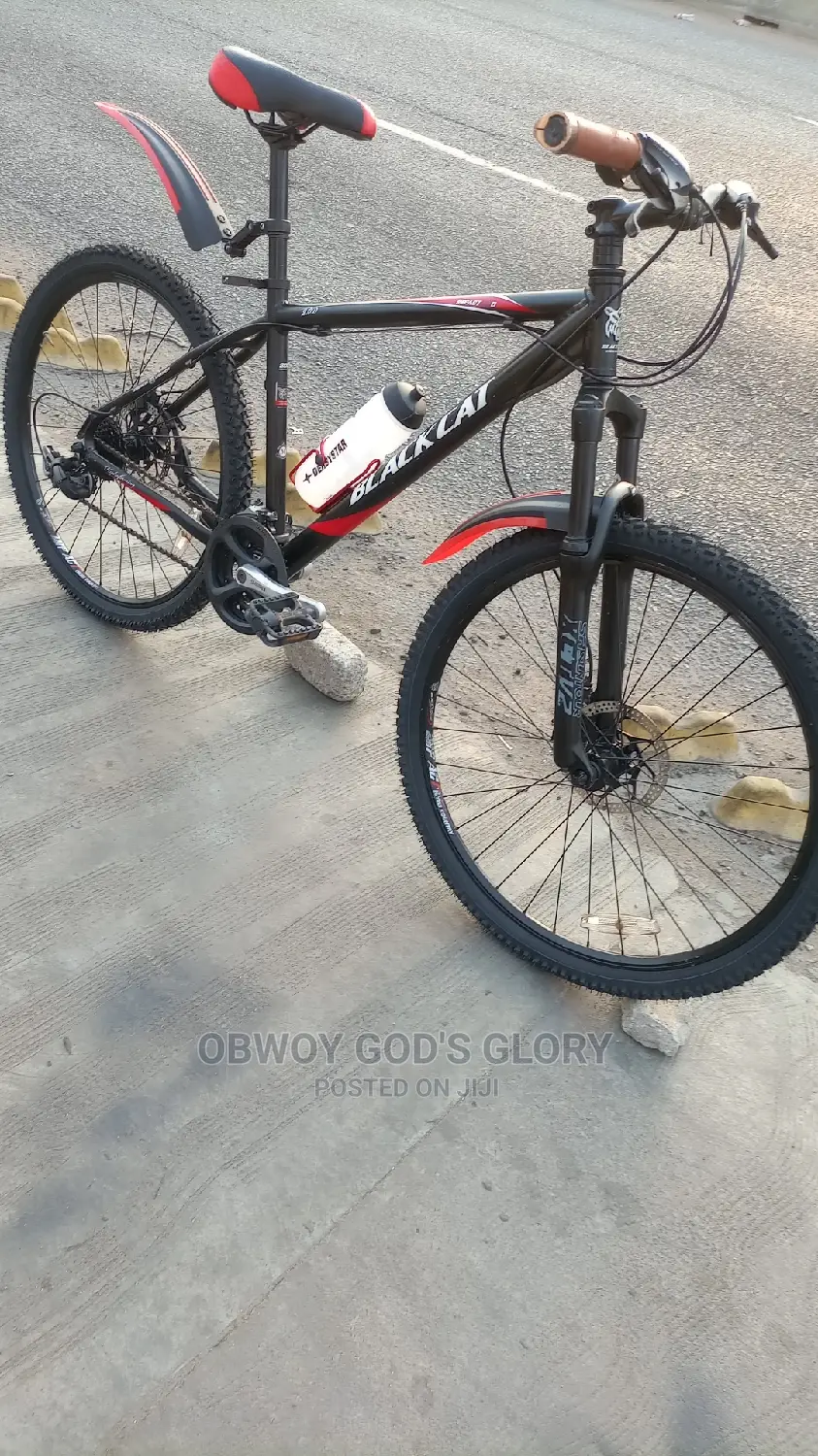 Power 1 Mountain Bike
