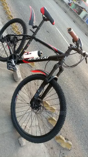 Power 1 Mountain Bike