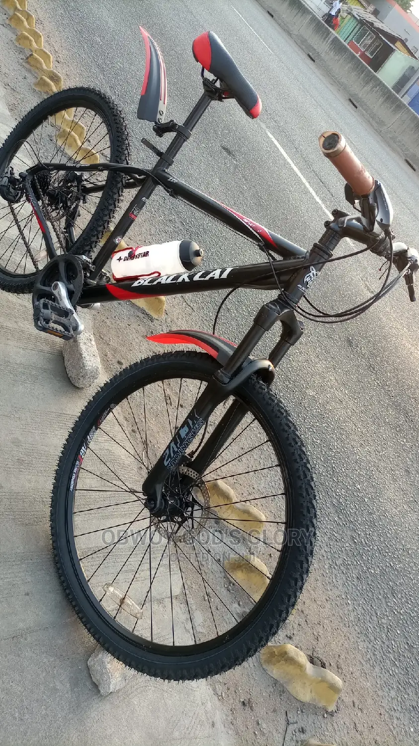 Power 1 Mountain Bike