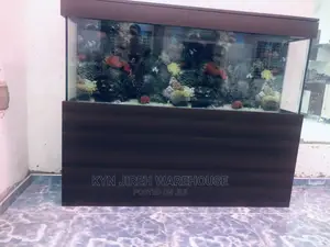 Coffee Aquarium With Fishes