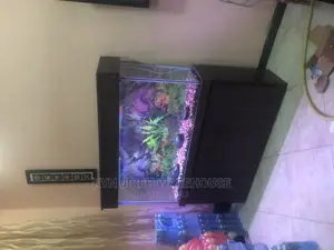 Coffee Aquarium With Fishes