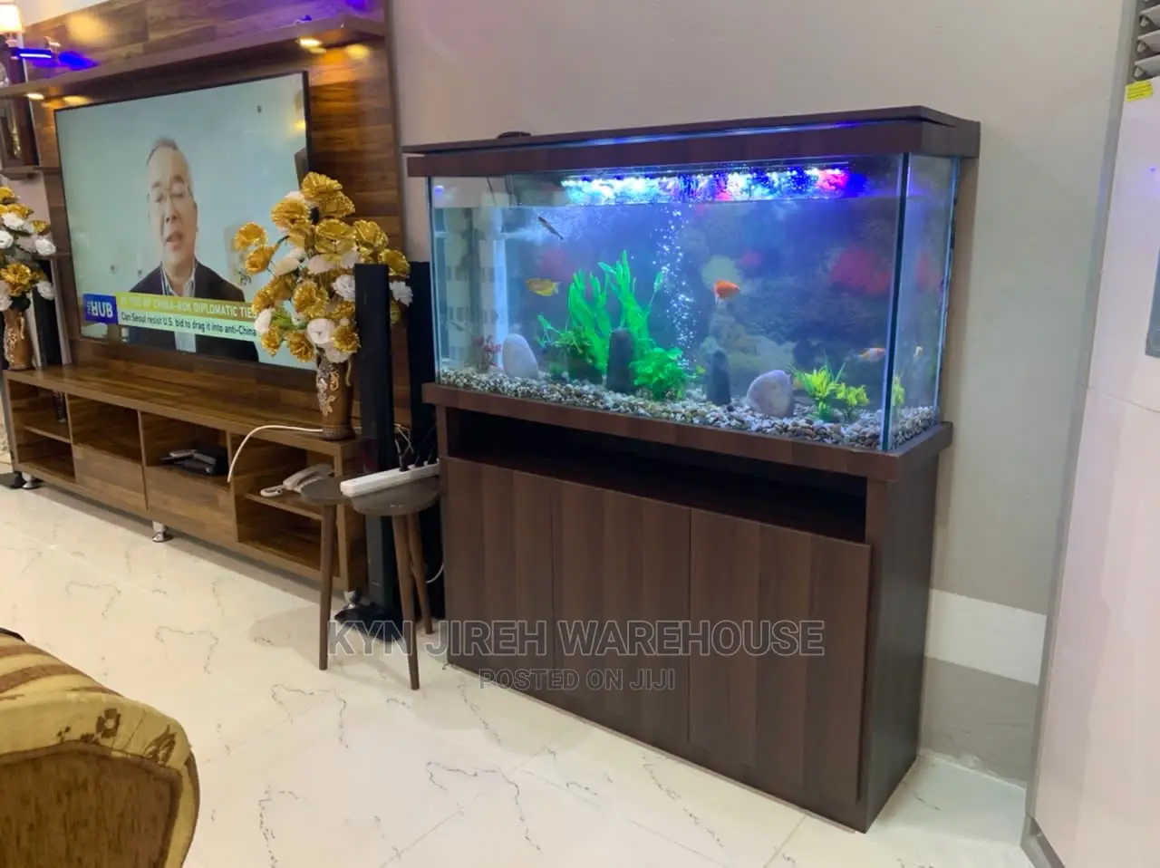 Honorable Aquarium With 15 Fishes