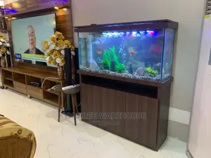 Honorable Aquarium With 15 Fishes