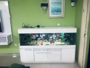 Mama Coco 7ft Aquarium With 15 Fishes