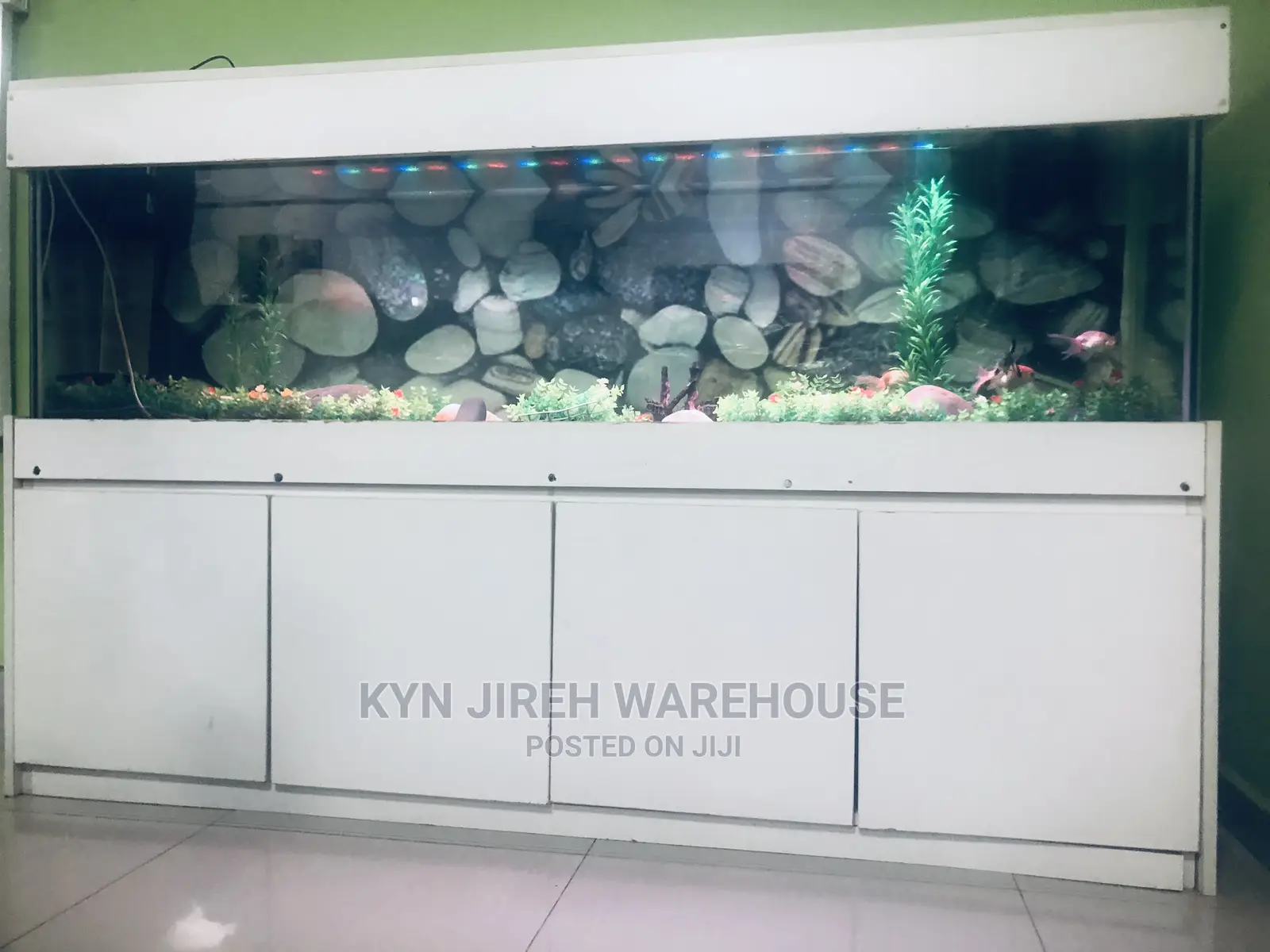 Mama Coco 7ft Aquarium With 15 Fishes