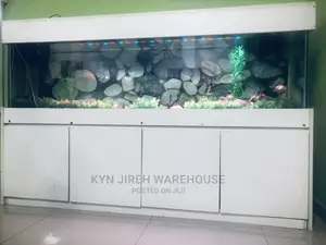 Mama Coco 7ft Aquarium With 15 Fishes