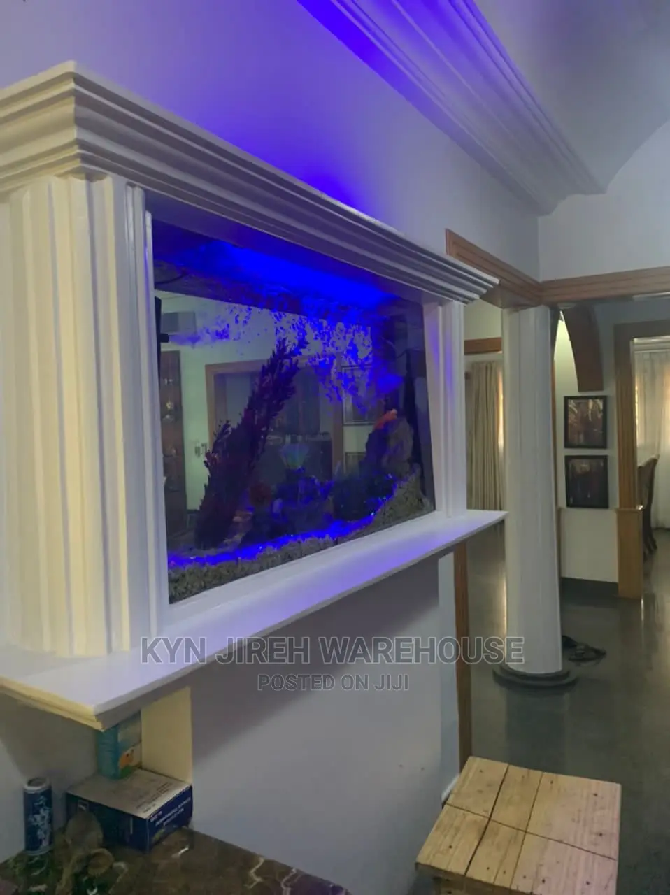 Aquariums in Wall With Fishes