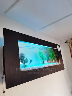 Aquariums in Wall With Fishes