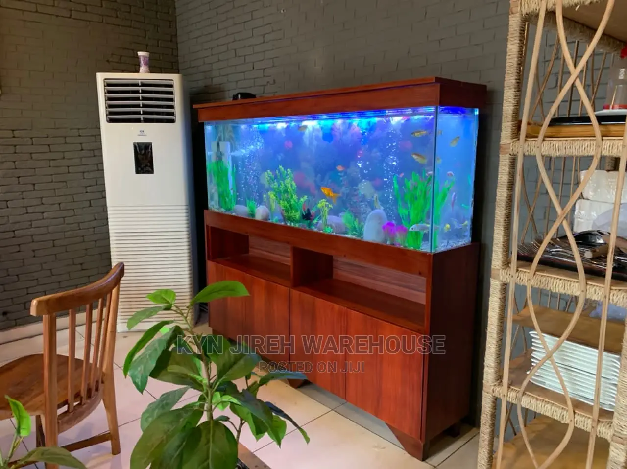 Papa’S Aquarium With 15 Fishes