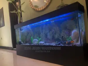 Black Arabian Aquarium With Fishes