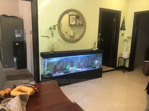 Black Arabian Aquarium With Fishes