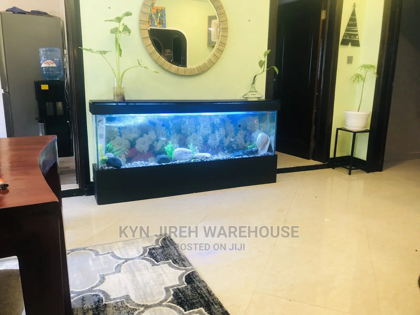 Black Arabian Aquarium With Fishes