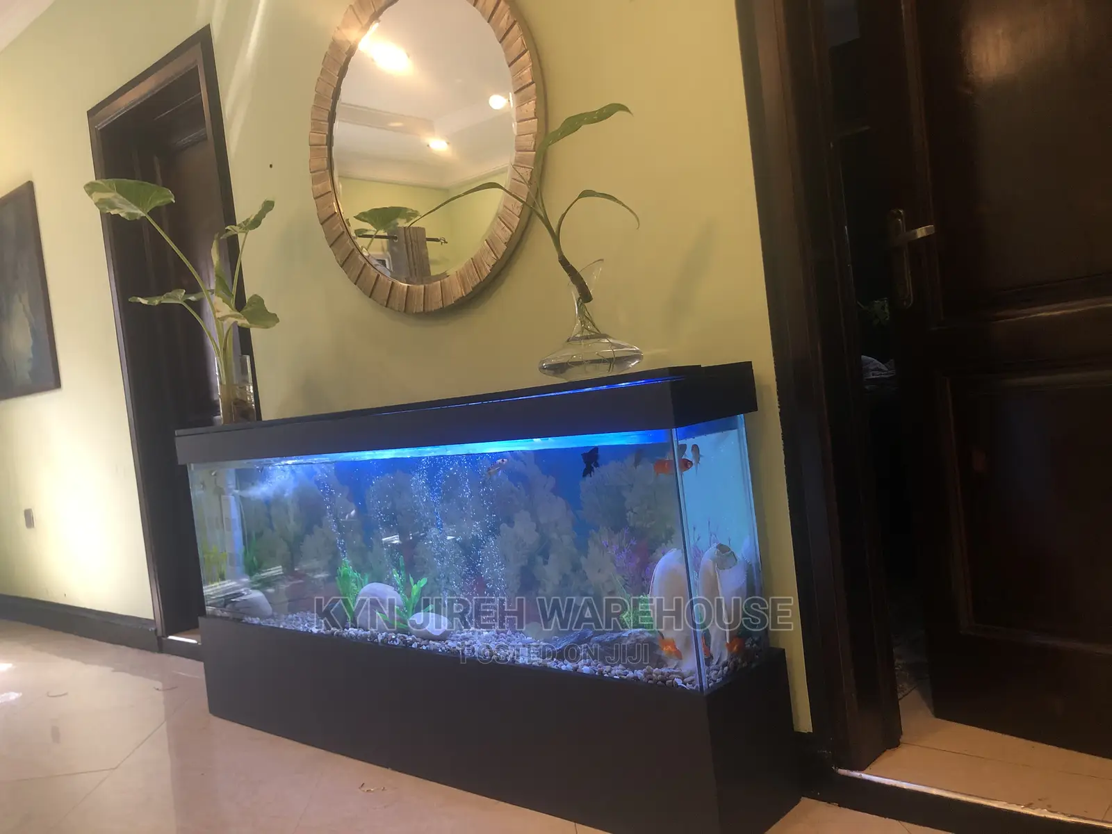 Black Arabian Aquarium With Fishes