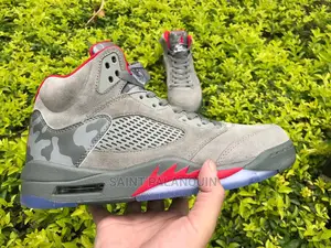 Air Jordan 5