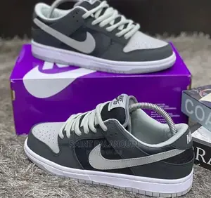 Nike Sb Sneaker