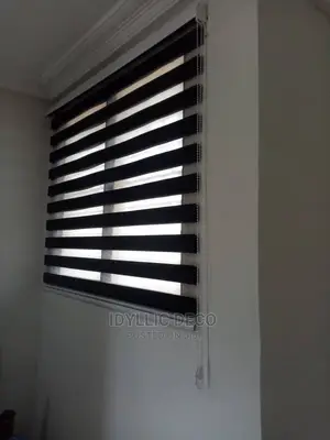 Empire Zebra Blinds Curtains for Refreshing Atmosphere