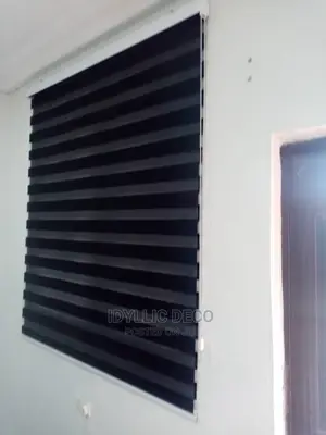 Empire Zebra Blinds Curtains for Refreshing Atmosphere