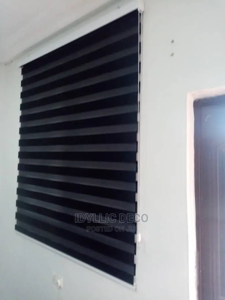 Empire Zebra Blinds Curtains for Refreshing Atmosphere