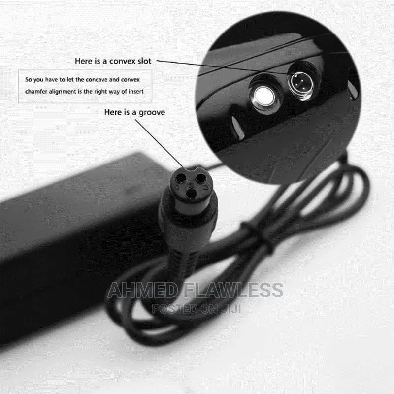Hoverboard Charger