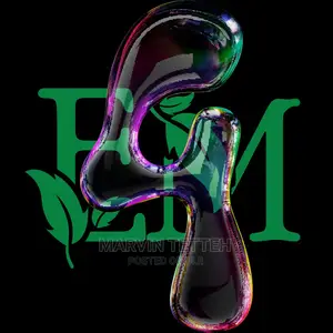 Graphic Designing, Letter Heads, Flyers, Advertising Videos